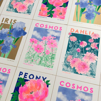 Cosmos Floral Illustration Riso Print, 2 of 5