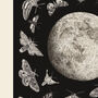 Moths And The Moon, thumbnail 3 of 3