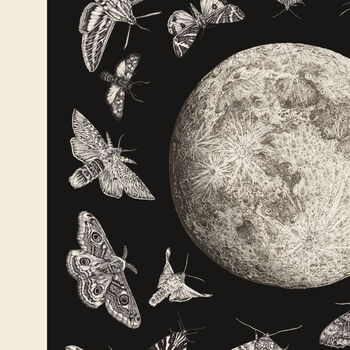 Moths And The Moon, 3 of 3