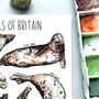 Seals Of Britain Watercolour Postcard, thumbnail 8 of 9