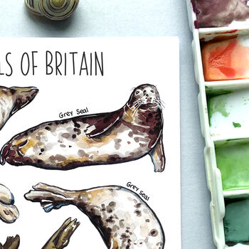 Seals Of Britain Watercolour Postcard, 8 of 9