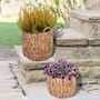 Set Of Two Water Hyacinth Planter Baskets, thumbnail 1 of 3