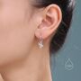 Sterling Silver Stag Beetle Huggie Hoop Earrings, thumbnail 6 of 11