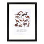 Raft Of Otters Art Print, thumbnail 4 of 5