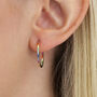 Gold Plated Rainbow Crystal In And Out Hoop Earrings, thumbnail 1 of 3