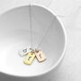 Personalised My Family Mini Tags Necklace, thumbnail 2 of 7