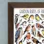 Garden Birds Of Britain Wildlife Watercolour Print, thumbnail 6 of 8