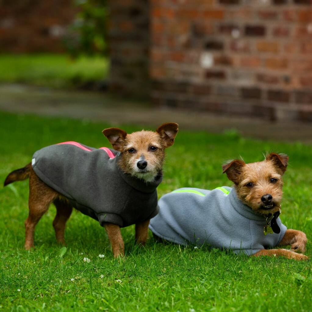 Small Terrier Polartec Water Resistant Dog Coat, 1 of 10