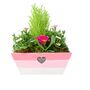 Mother’s Day Pink Wooden Trough Planted Gift – Free Standard Gift Wrap, thumbnail 3 of 3