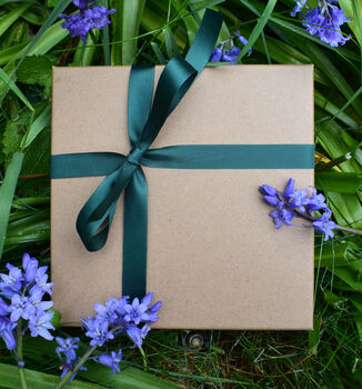 Sustainable Organic Gardeners Letterbox Gift Set, 8 of 8