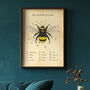 Anatomy Of A Bee Print, thumbnail 1 of 11