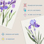 Set Three Wall Art Prints A4 Iris Floral Flowers Purple, thumbnail 4 of 7