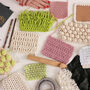 Digital Crochet Masterclass And Craft Kit, thumbnail 1 of 3