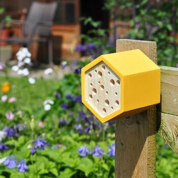 Hexagon Bee House Gift Set, 2 of 6