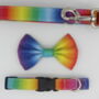 Rainbow Ombré Dog Collar And Lead Accessory Set, thumbnail 6 of 12