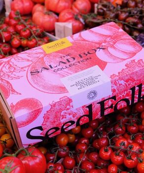 The Salad Box Grow Your Own Gift Box, 6 of 12