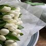 Wrapped Cut White Fresh Tulips, thumbnail 8 of 10
