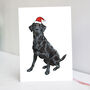 Festive Black Labrador Christmas Card, thumbnail 1 of 6