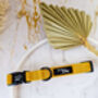 Mustard Yellow Cord Dog Collar, thumbnail 1 of 3