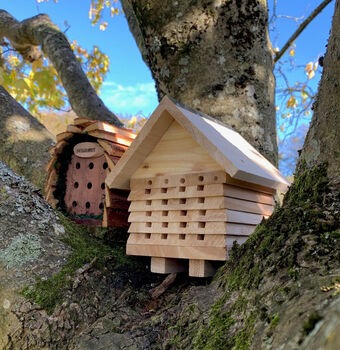 Busy Bee Hotel And Lucky Ladybird House Set, 3 of 8