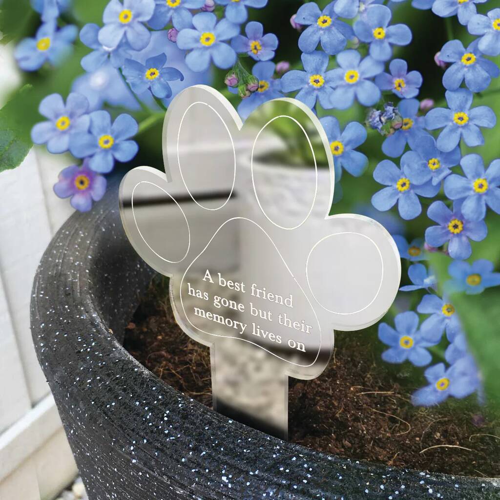 Memorial Pet Plant Marker And Forget Me Not Seeds, 1 of 2