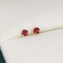 Sterling Silver January Birthstone Garnet Cz Stud Earrings, thumbnail 5 of 11