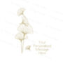 Personalised Ginkgo Leaf Gold Foil Botanical Card, thumbnail 2 of 8