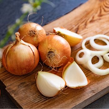 Vegetable Plants Onion Variety Plug Plants, 2 of 4