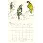 2022 Calendar Birds, Bugs And Bees, thumbnail 9 of 12