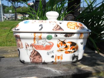 Lidded Butterdish In Cats And Kittens Design, 7 of 7