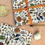 Seashells Of Britain Wrapping Paper Set, thumbnail 4 of 7