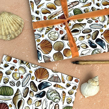 Seashells Of Britain Wrapping Paper Set, 4 of 7
