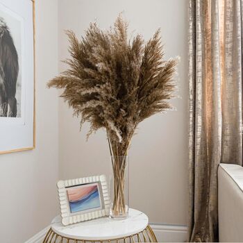 Artificial Large Pampas Flowers 12pc Set, 4 of 5