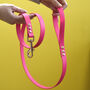 Biothane Dog Lead, thumbnail 3 of 3