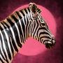 Lunar Zebra – Bold Wildlife Art, thumbnail 5 of 5