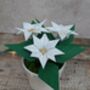 Origami Paper Flower Plant, Christmas Gift, thumbnail 7 of 7