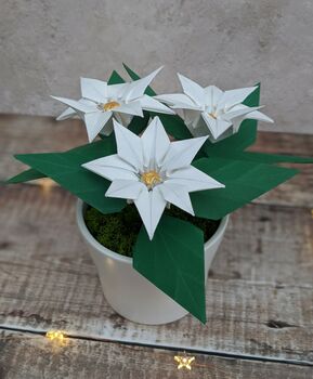 Origami Paper Flower Plant, Mother's Day Gift, 7 of 7