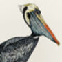 P Is For Peruvian Pelican Illustration Print, thumbnail 2 of 6
