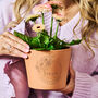 Birth Flower Personalised Flower Pot Birthday Gift, thumbnail 3 of 8