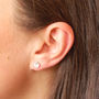 Sterling Silver Diamante Stud Earrings, thumbnail 3 of 5