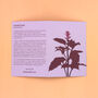 Illustrated Greetings Card With Purple Basil Seeds, thumbnail 3 of 5