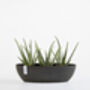 Ecopots Sofia Oval Plant Pot Made From Recycled Plastic, thumbnail 3 of 9