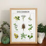 Birthday Month Print, Plant And Wildflower Wall Art, thumbnail 4 of 11