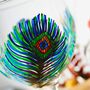 Peacock Feather Hand Painted Gin Glass, thumbnail 4 of 7