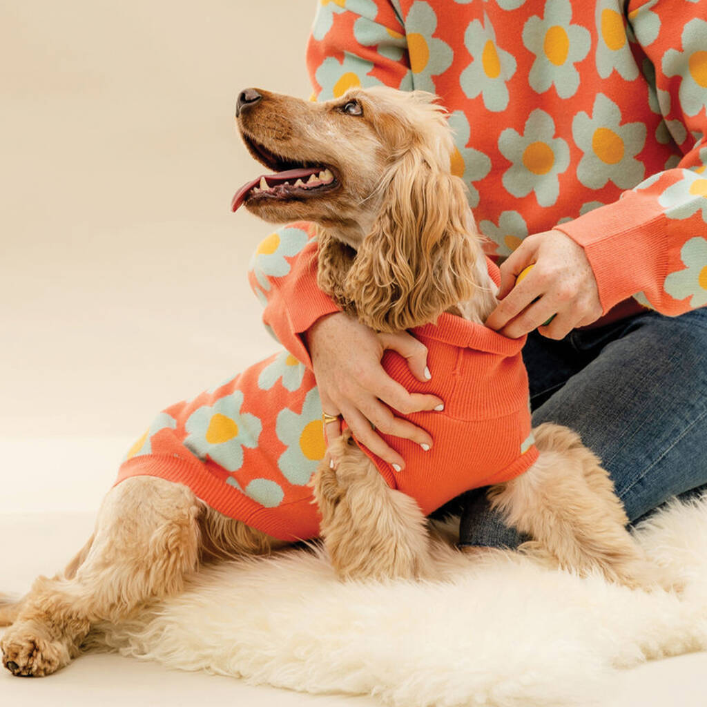Orangeflower Knitted Dog Jumper, 1 of 4