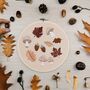 Autumn And The Moth Embroidery Kit, thumbnail 4 of 7
