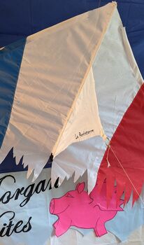 La Resistance Delta Kite Distressed Tricolour, 3 of 8