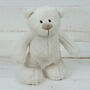 Soft Plush Teddy Bear With Personalised Jumper, thumbnail 1 of 6