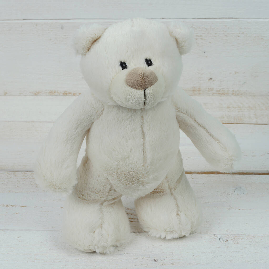Soft Plush Teddy Bear With Personalised Jumper, 1 of 6