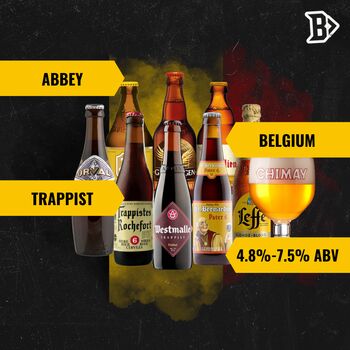 Trappist And Abbey Ales Belgian Breweries Beer Mixed Case Eight Beers, 2 of 4